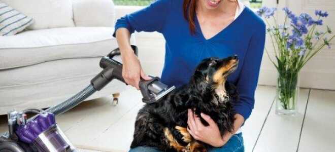 Выбираем пылесос циклонного типа