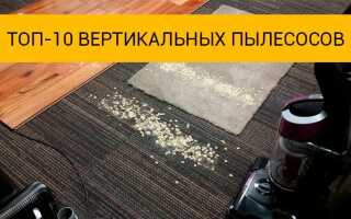 Лучшие вертикальные пылесосы 2017 года — рейтинг моделей