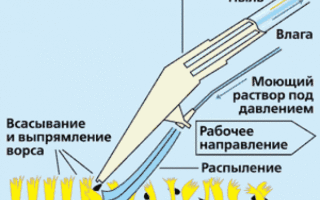 Проблема выбора: моющий пылесос против пароочистителя