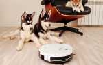 Сравнение роботов-пылесосов Cleverpanda i5, iRobot 960 и iClebo Omega