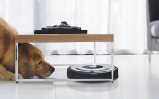 Irobot или Iclebo: какой робот-пылесос лучше