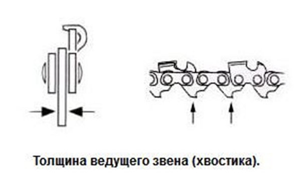 Толщина хвостика