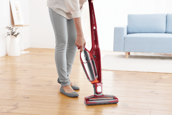 Пылесос Electrolux ERGO 05